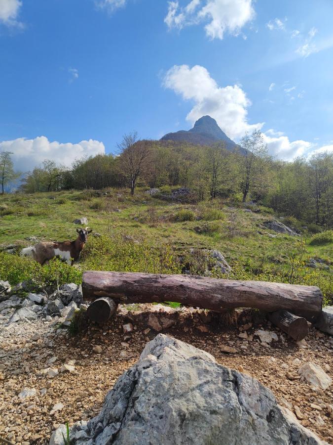 Apartma Metka Bovec Εξωτερικό φωτογραφία